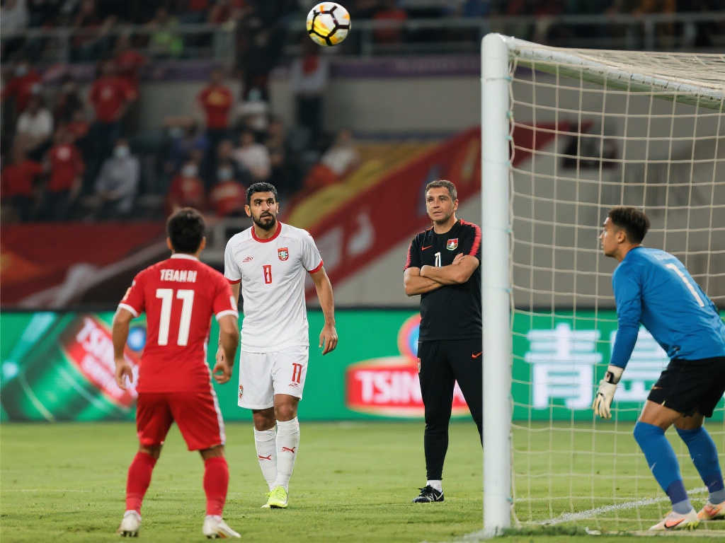 这些附加条 这些附加条