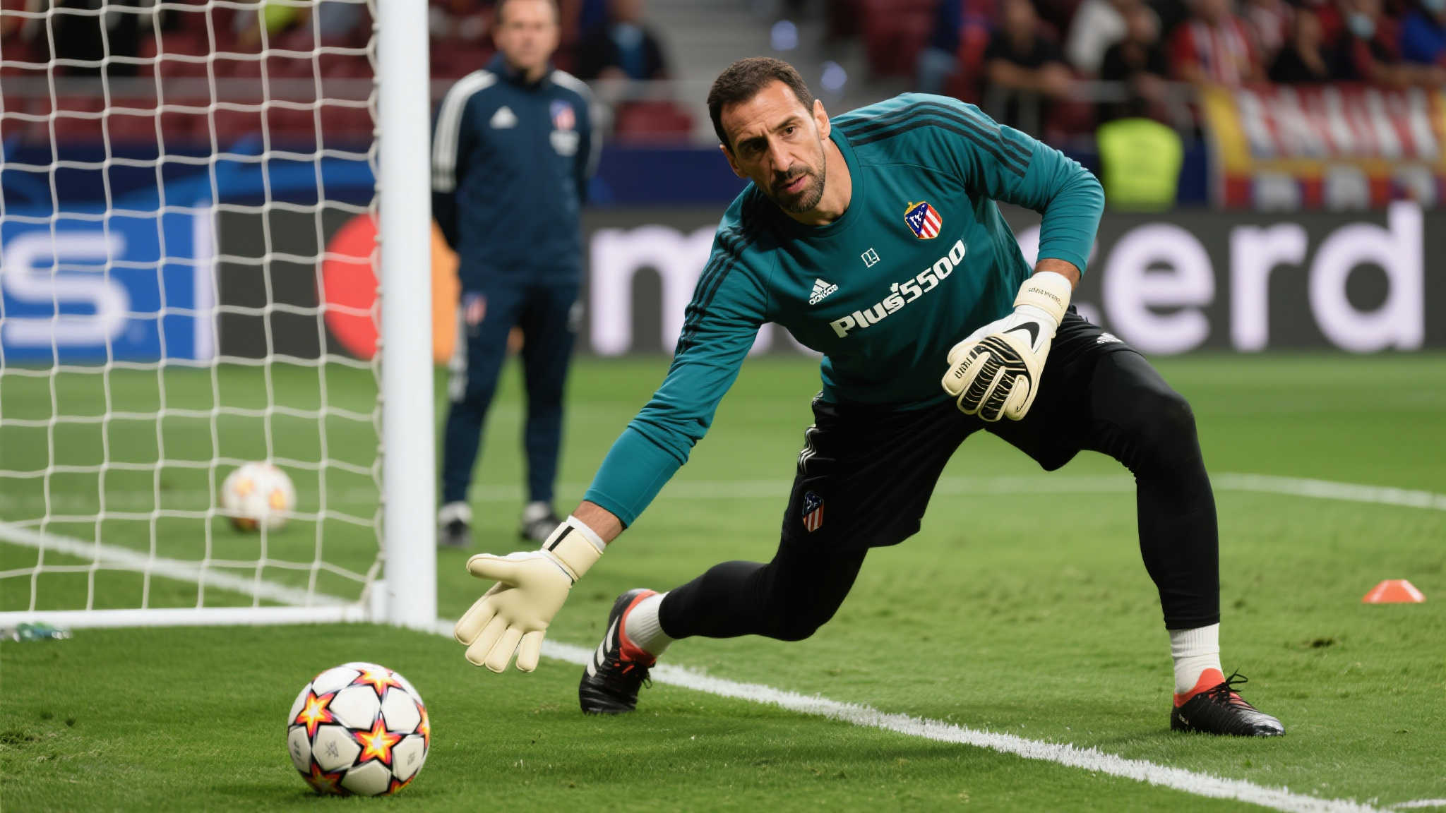 这并不是谢 这并不是谢